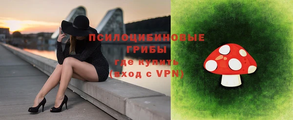 прущая мука Осташков