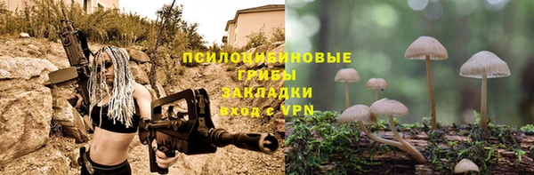 гашик Нягань