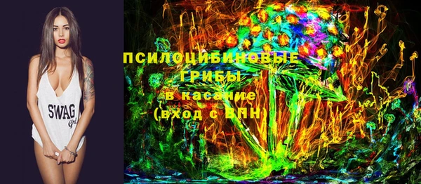 гашик Нягань